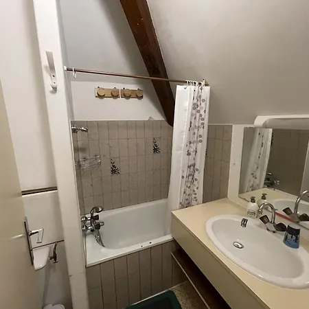 Duplex Au Coeur De La Station - Fr-1-787-142 *