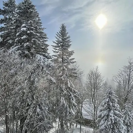 Apartment Duplex Au Coeur De La Station - Fr-1-787-142 Laveissiere