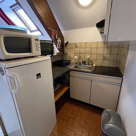 Apartment Duplex Au Coeur De La Station - Fr-1-787-142 *